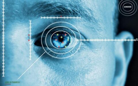 虹膜识别技术国际应用案例