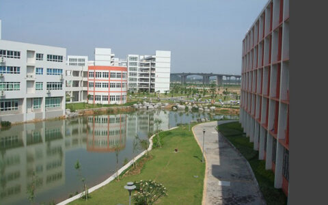 天地伟业网络数字产品广泛应用于教育教学领域