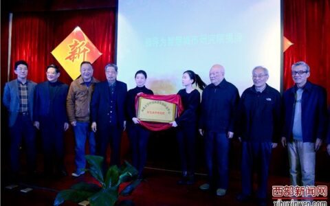 中国西部发展研究中心智慧城市研究院在西安成立