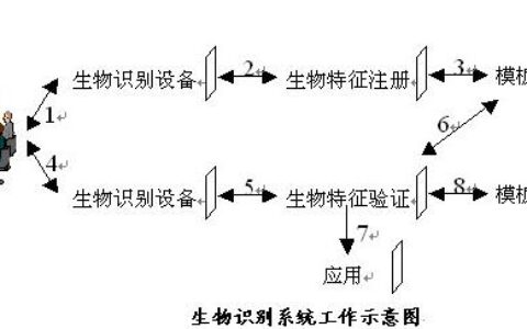 “庖丁”刀法解剖生物识别技术