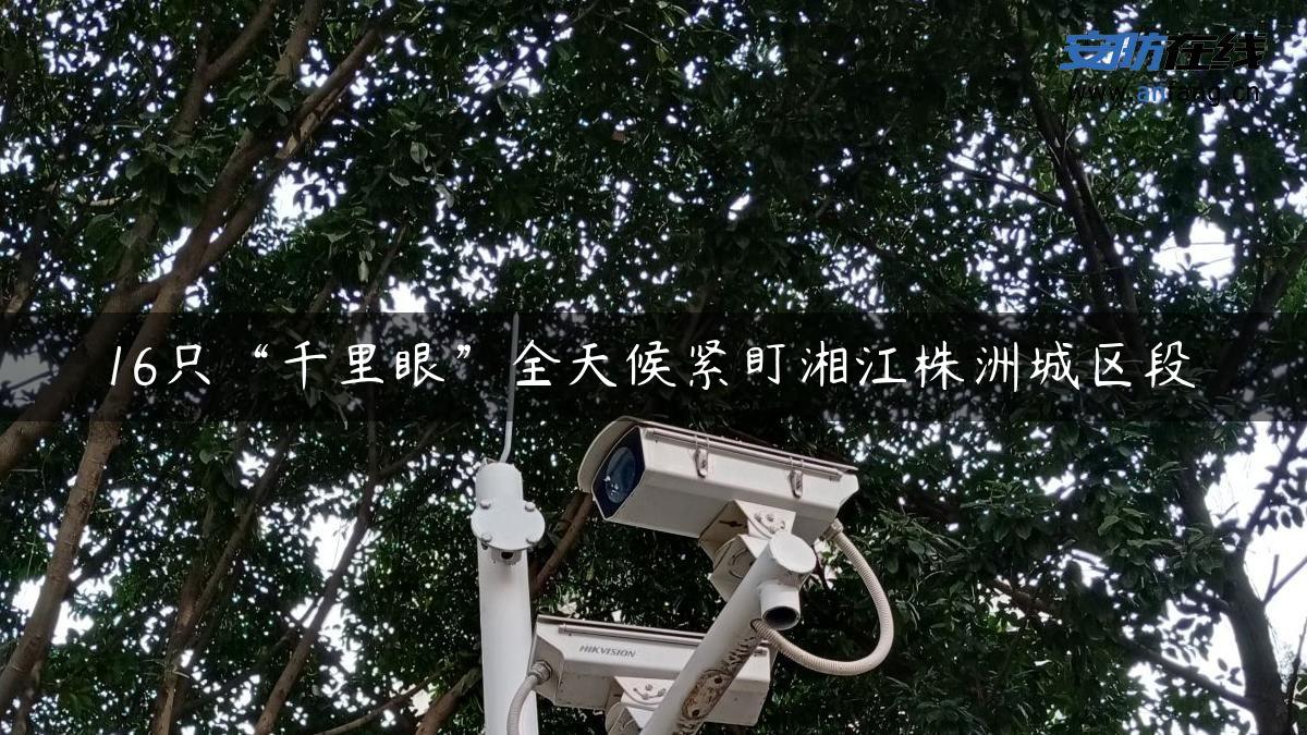 16只“千里眼”全天候紧盯湘江株洲城区段