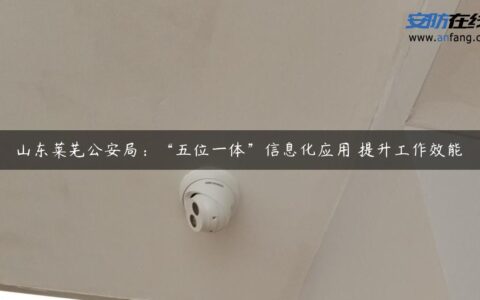山东莱芜公安局：“五位一体”信息化应用 提升工作效能
