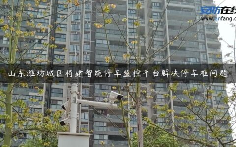 山东潍坊城区将建智能停车监控平台解决停车难问题