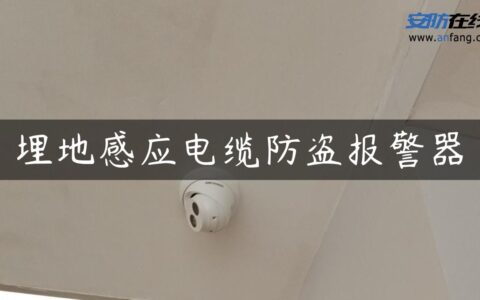 埋地感应电缆防盗报警器