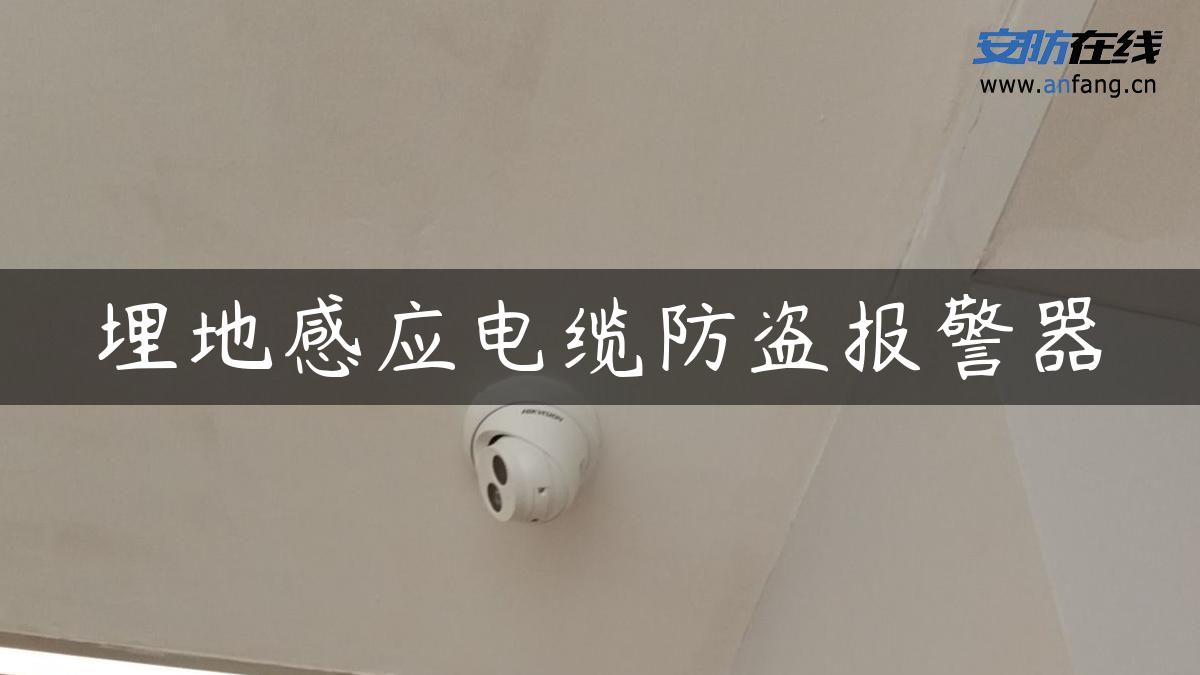 埋地感应电缆防盗报警器