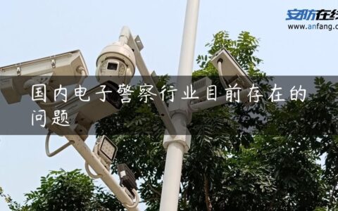 国内电子警察行业目前存在的问题