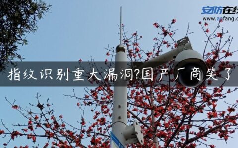 指纹识别重大漏洞?国产厂商笑了