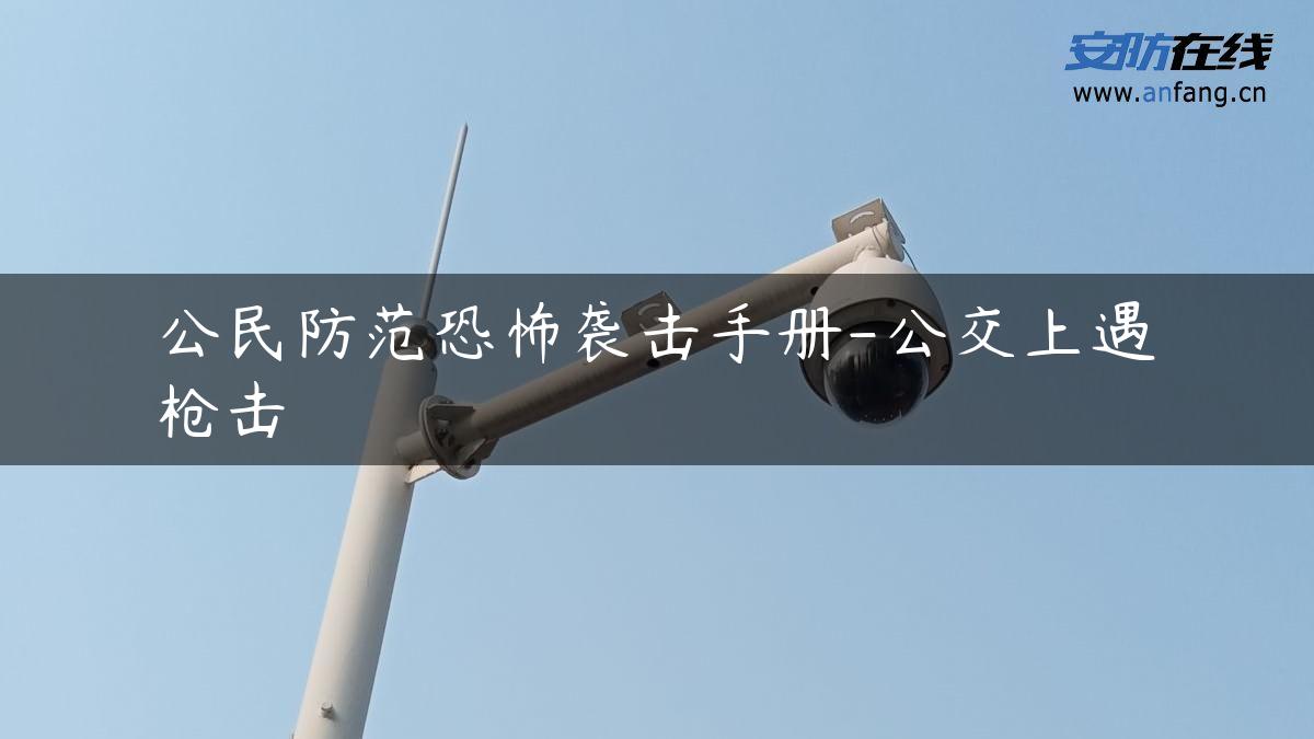 公民防范恐怖袭击手册-公交上遇*击