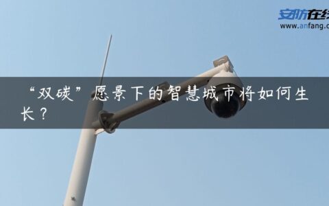 “双碳”愿景下的智慧城市将如何生长？