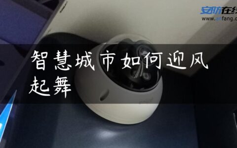 智慧城市如何迎风起舞