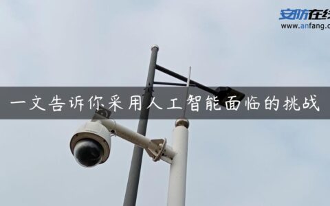 一文告诉你采用人工智能面临的挑战