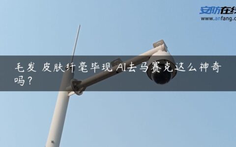毛发 皮肤纤毫毕现 AI去马赛克这么神奇吗？
