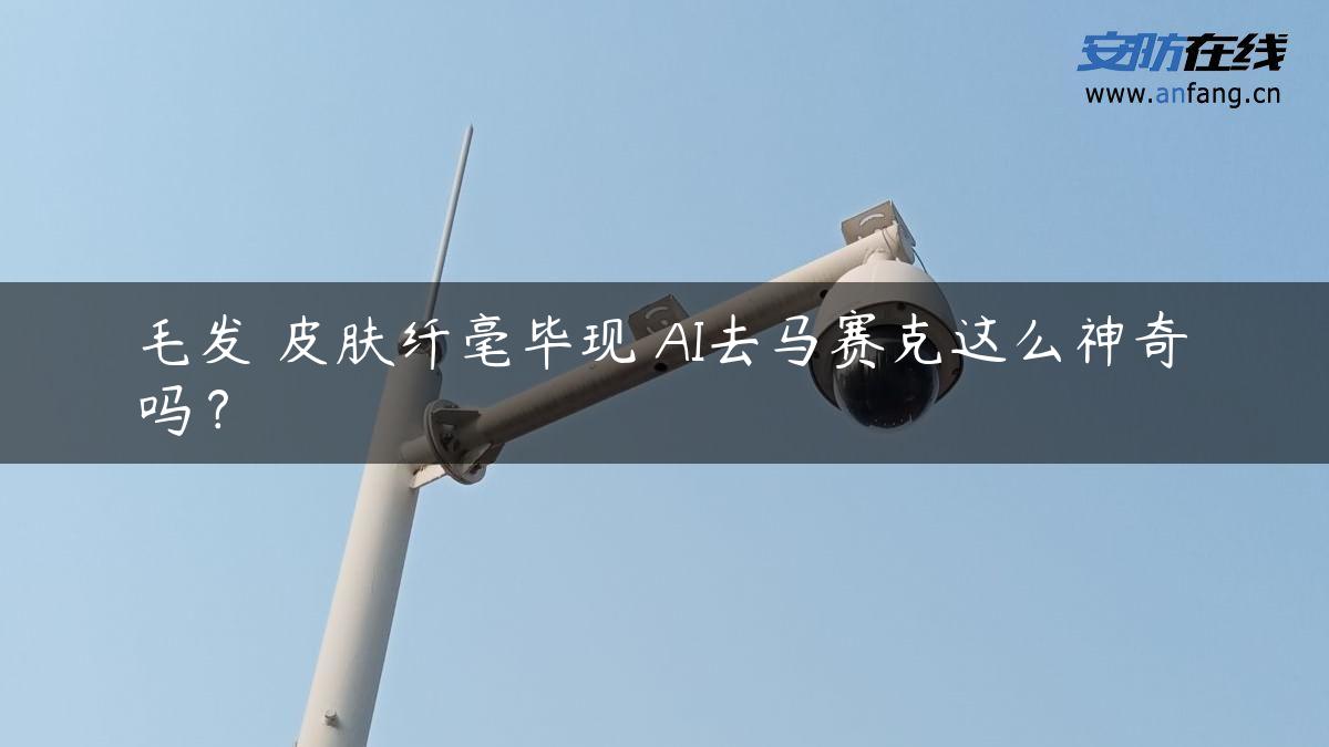 毛发 皮肤纤毫毕现 AI去马赛克这么神奇吗？