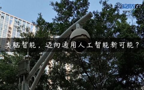 类脑智能，迈向通用人工智能新可能？