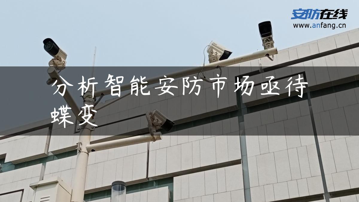 分析智能安防市场亟待蝶变