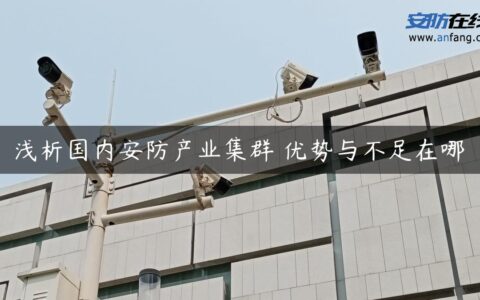 浅析国内安防产业集群 优势与不足在哪