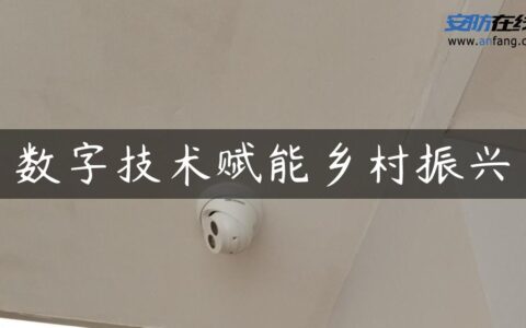 数字技术赋能乡村振兴