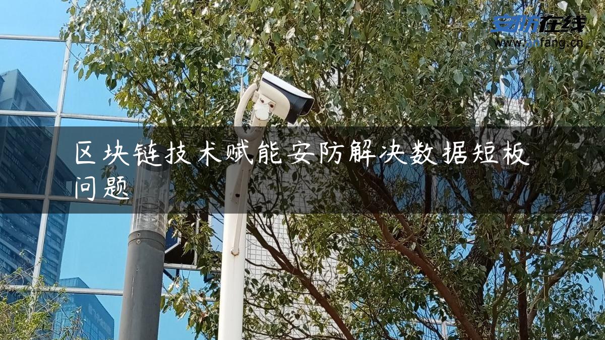区块链技术赋能安防解决数据短板问题