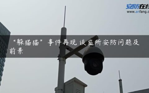 “躲猫猫”事件再现 谈监所安防问题及前景