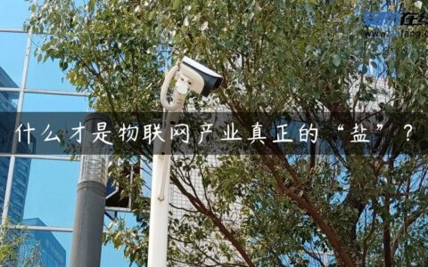 什么才是物联网产业真正的“盐”？