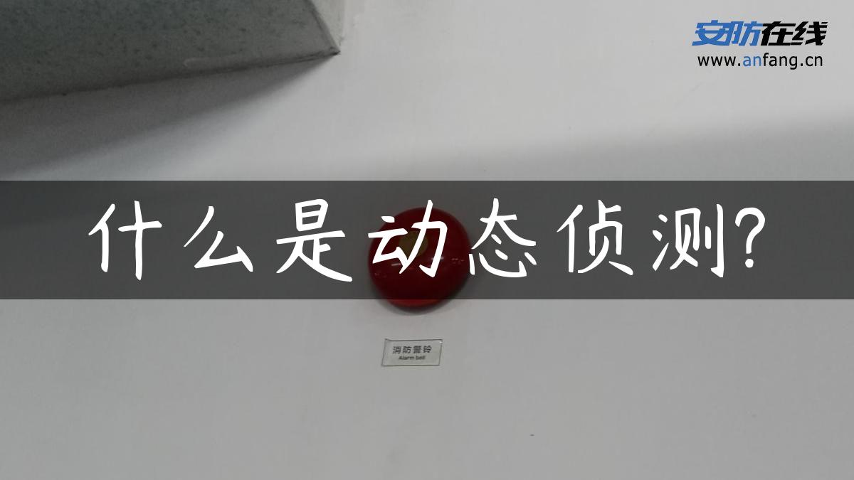 什么是动态侦测?