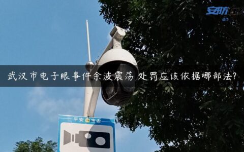 武汉市电子眼事件余波震荡 处罚应该依据哪部法?