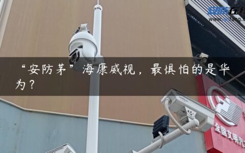 “安防茅”海康威视，最惧怕的是华为？