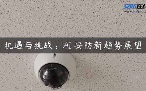 机遇与挑战：AI 安防新趋势展望