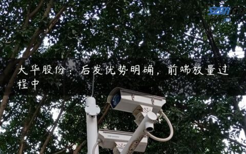 大华股份：后发优势明确，前端放量过程中