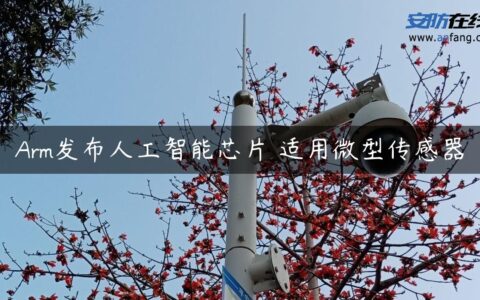 Arm发布人工智能芯片 适用微型传感器