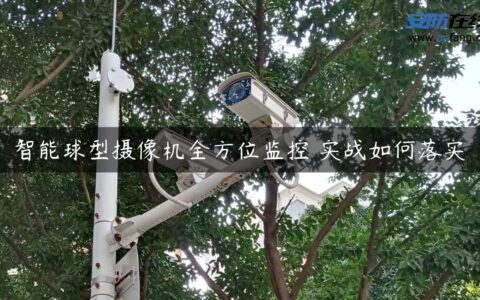 智能球型摄像机全方位监控 实战如何落实