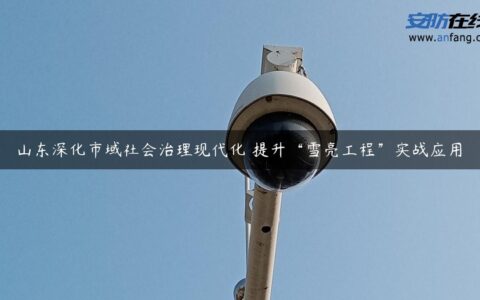 山东深化市域社会治理现代化 提升“雪亮工程”实战应用