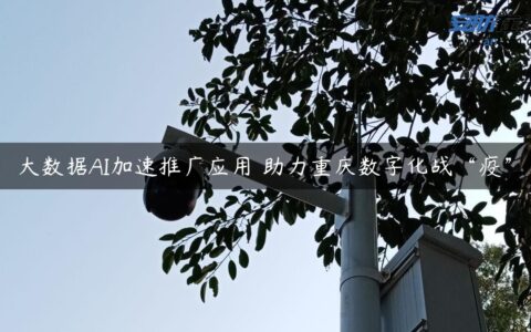 大数据ＡＩ加速推广应用 助力重庆数字化战“疫”