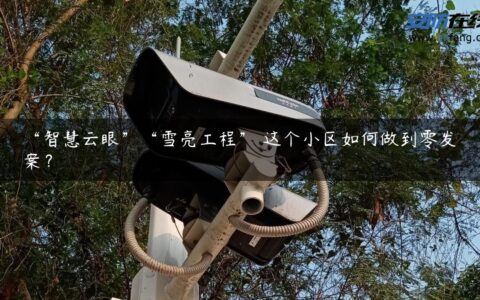 “智慧云眼”“雪亮工程” 这个小区如何做到零发案？