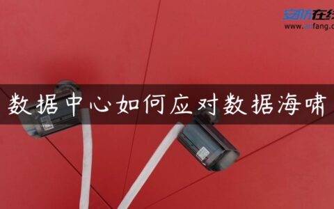 数据中心如何应对数据海啸