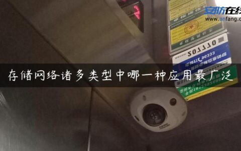 存储网络诸多类型中哪一种应用最广泛