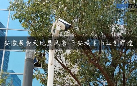 安徽展会天地显风采 平安城市伟业创辉煌