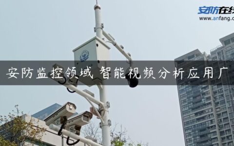 安防监控领域 智能视频分析应用广