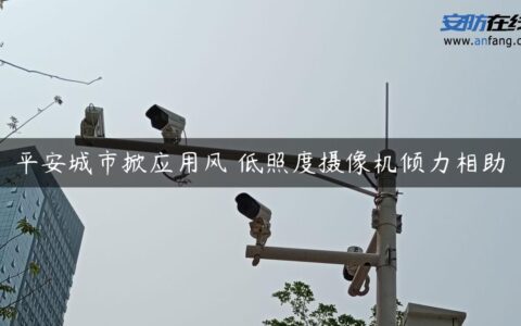 平安城市掀应用风 低照度摄像机倾力相助