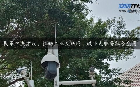 民革中央建议：推动工业互联网、城市大脑等融合应用