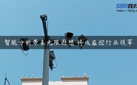 智能分析带来无限遐想 将成监控行业领军