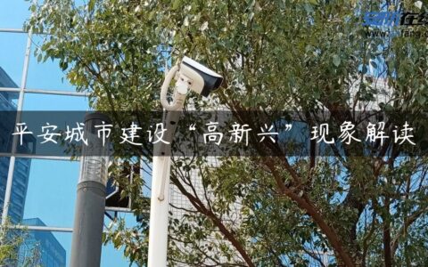 平安城市建设“高新兴”现象解读