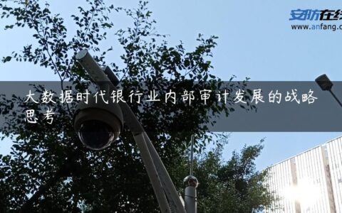 大数据时代银行业内部审计发展的战略思考