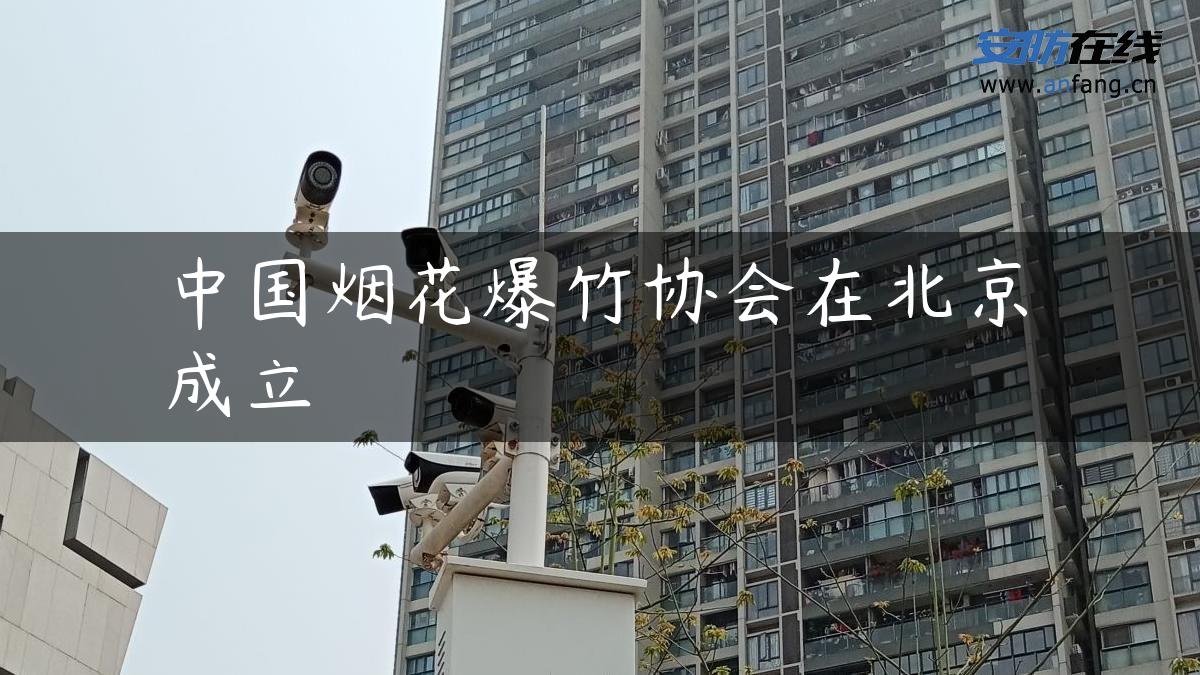 中国烟花爆竹协会在北京成立