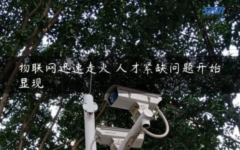 物联网迅速走火 人才紧缺问题开始显现