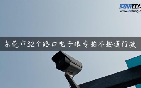 东莞市32个路口电子眼专拍不按道行驶
