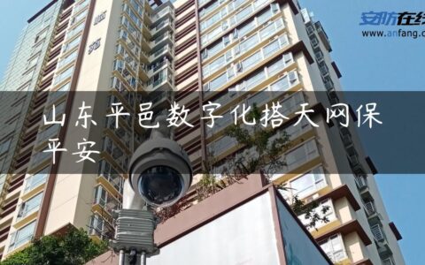 山东平邑数字化搭天网保平安
