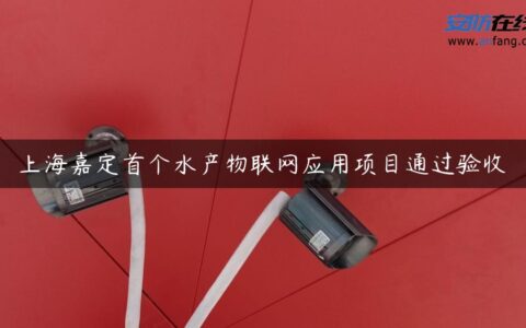 上海嘉定首个水产物联网应用项目通过验收