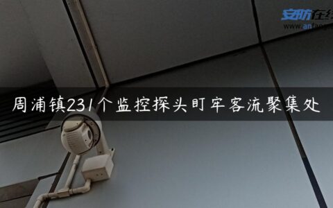 周浦镇231个监控探头盯牢客流聚集处