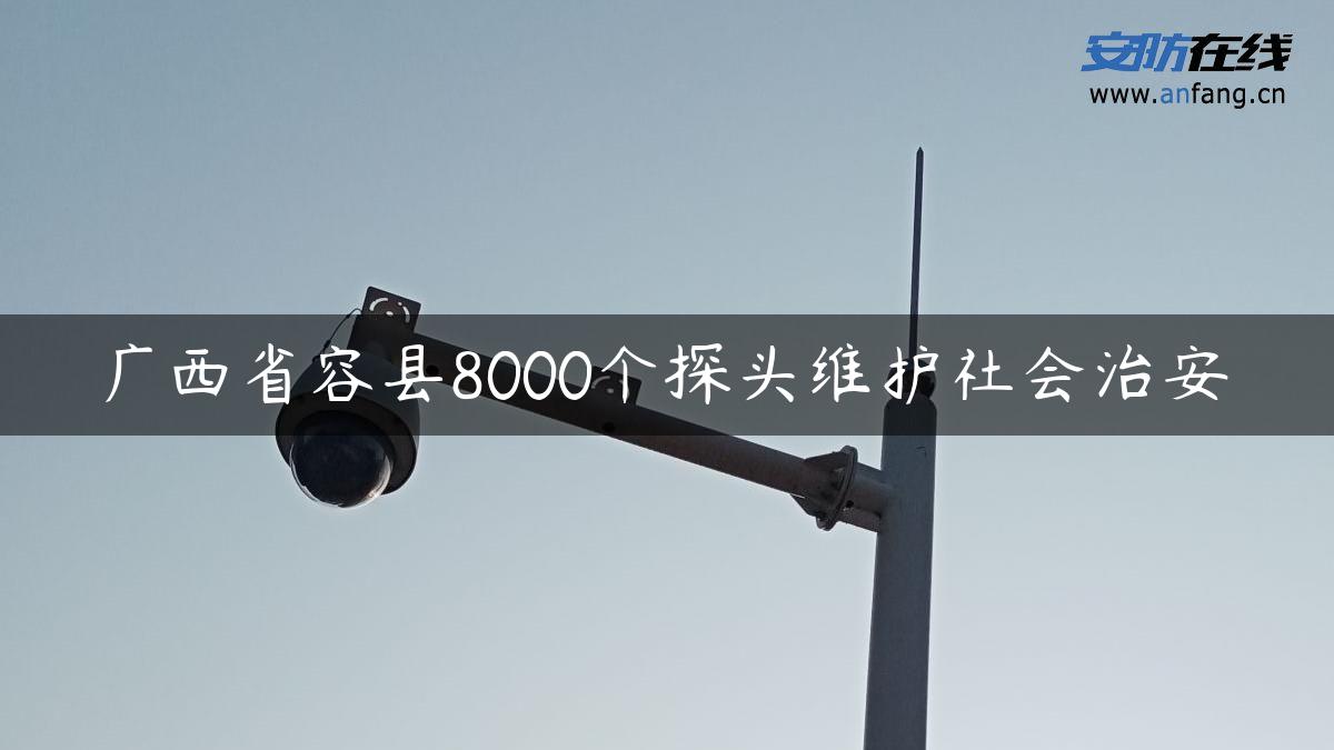 广西省容县8000个探头维护社会治安